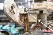 梦见杀鸡小蚕虫变身“产业龙”，广西这座小城如何实现“破茧重生”？