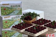 梦见杀鸡高速赋能产业升级：一条“杨梅路”的致富密码