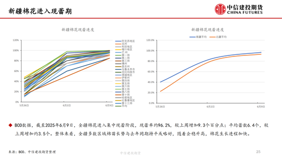 【棉花纺谈】供应端阶段性缩量 疆棉(🗨)基差坚挺